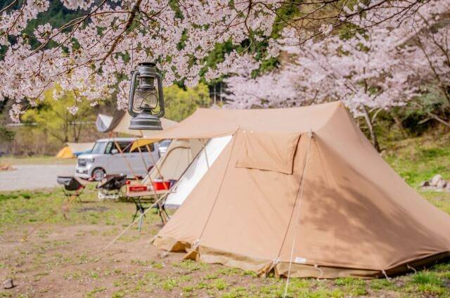 これからの行楽シーズンに！花見！海水浴！キャンピングに！！ | real